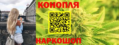 прущие грибы Бердск