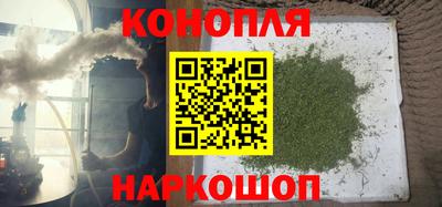 гидра Берёзовский